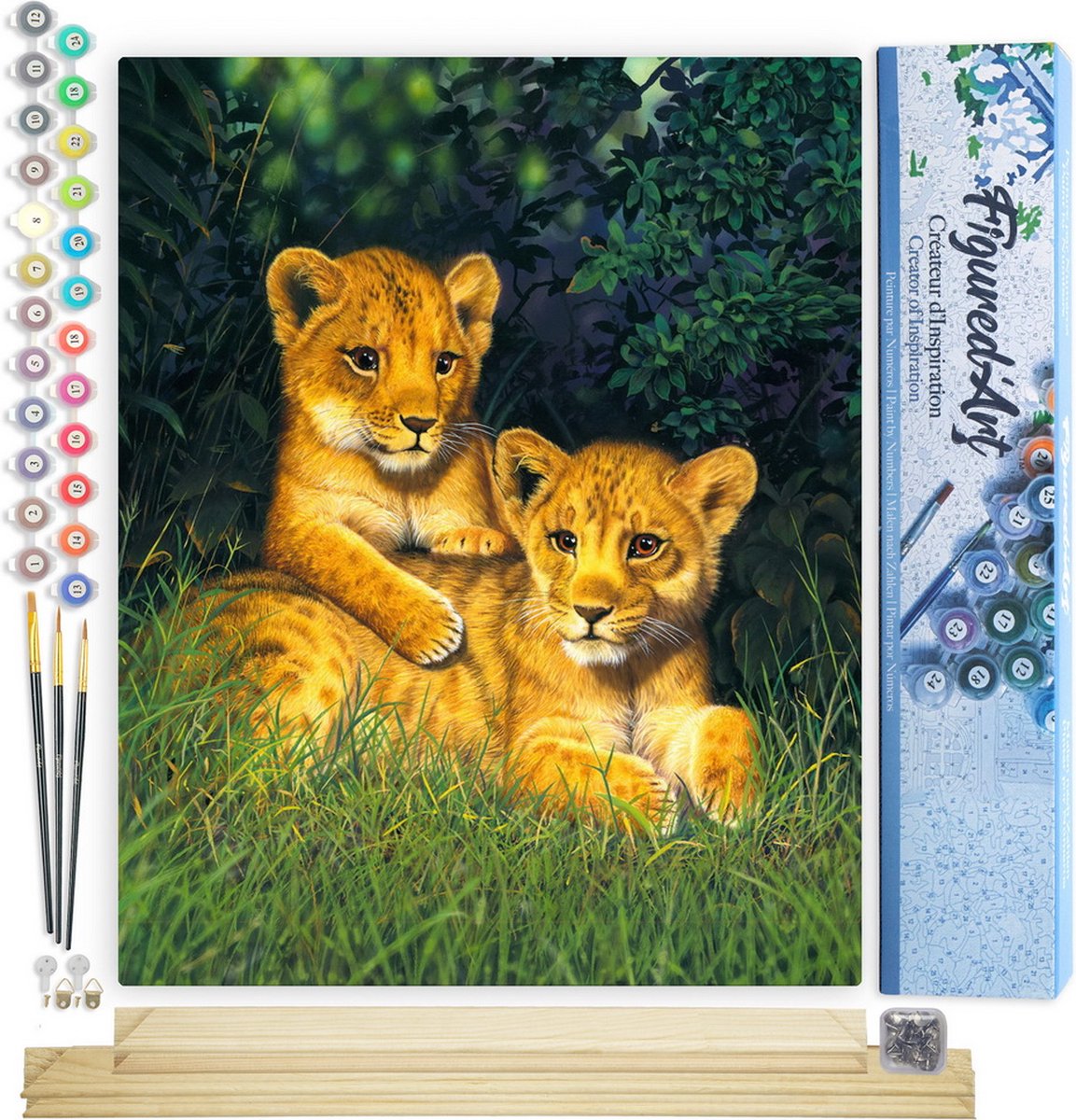 FiguredArt Schilderen op Nummer Volwassenen canvas Leeuwenwelpen - Handwerk acrylverf Kit DIY Compleet - 40x50cm met DIY houten lijst